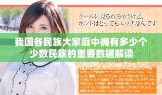 我国各民族大家庭中拥有多少个少数民族的重要数据解读