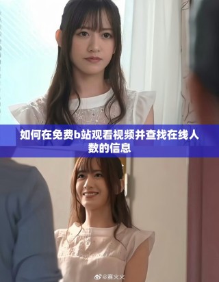如何在免费b站观看视频并查找在线人数的信息