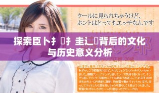 探索臣卜扌喿扌圭辶畐背后的文化与历史意义分析