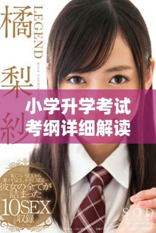 小学升学考试考纲详细解读及知识点全面指导