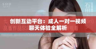 创新互动平台：成人一对一视频聊天体验全解析
