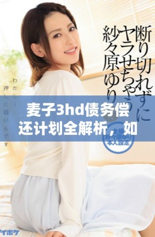 麦子3hd债务偿还计划全解析，如何实现财务健康与可持续发展