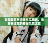 甜美草莓与清爽丝瓜相遇，向日葵绽放的田园风情之旅