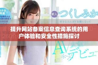 提升网站备案信息查询系统的用户体验和安全性措施探讨