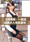 《肉蒲团：一部深刻揭示人性欲望与社会禁忌的文学经典》