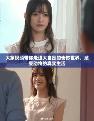大象视频带你走进大自然的奇妙世界，感受动物的真实生活