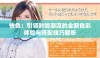 快色：引领时尚潮流的全新色彩体验与搭配技巧解析