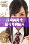 探索黄冈地区可免费使用的网站投放平台合集