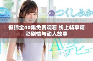 似锦全40集免费观看 线上畅享精彩剧情与动人故事