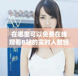 在哪里可以免费在线观看B站的实时人数统计呢