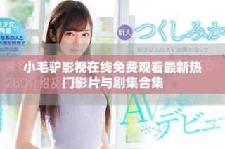 小毛驴影视在线免费观看最新热门影片与剧集合集