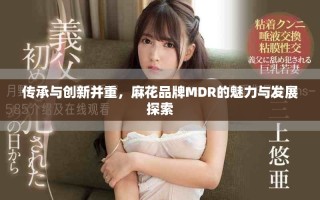 传承与创新并重，麻花品牌MDR的魅力与发展探索