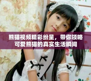 熊猫视频精彩纷呈，带你领略可爱熊猫的真实生活瞬间