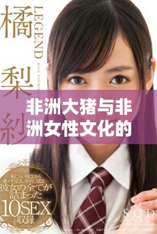 非洲大猪与非洲女性文化的深刻关联探索