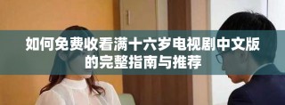 如何免费收看满十六岁电视剧中文版的完整指南与推荐