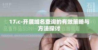 17.c-开展域名查询的有效策略与方法探讨