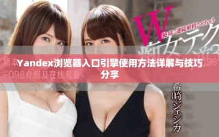 Yandex浏览器入口引擎使用方法详解与技巧分享