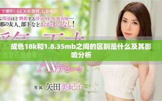 成色18k和1.8.35mb之间的区别是什么及其影响分析