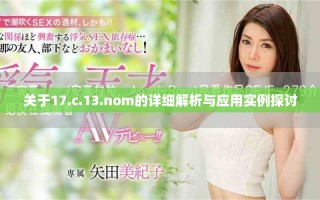 关于17.c.13.nom的详细解析与应用实例探讨
