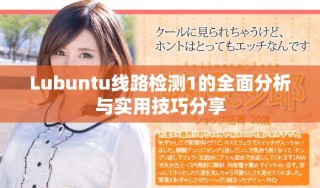 Lubuntu线路检测1的全面分析与实用技巧分享