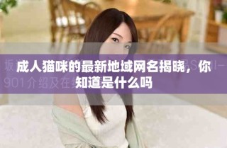 成人猫咪的最新地域网名揭晓，你知道是什么吗