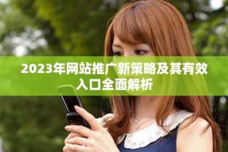 2023年网站推广新策略及其有效入口全面解析