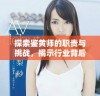 探索鉴黄师的职责与挑战，揭示行业背后的秘密与风采