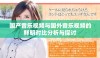 国产音乐视频与国外音乐视频的鲜明对比分析与探讨