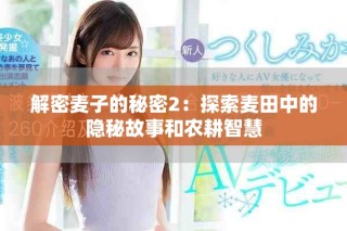 解密麦子的秘密2：探索麦田中的隐秘故事和农耕智慧
