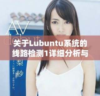 关于Lubuntu系统的线路检测1详细分析与探讨