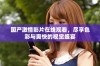 国产激情影片在线观看，尽享色彩与爽快的视觉盛宴
