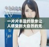 一片片丰盈的景象让人感受到大自然的无限魅力
