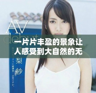 一片片丰盈的景象让人感受到大自然的无限魅力