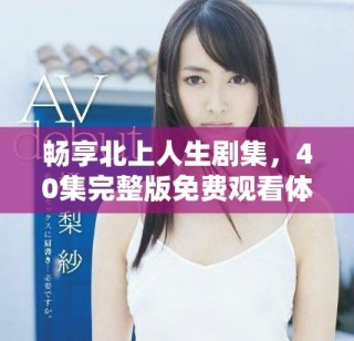 畅享北上人生剧集，40集完整版免费观看体验