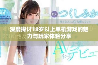 深度探讨18岁以上单机游戏的魅力与玩家体验分享