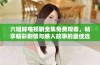 六姐妹电视剧全集免费观看，畅享精彩剧情与感人故事的最佳选择