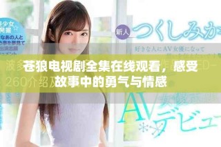 苍狼电视剧全集在线观看，感受故事中的勇气与情感