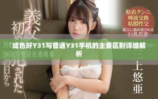 成色好Y31与普通Y31手机的主要区别详细解析