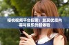 樱桃视频平台探索：发现优质内容与娱乐的新体验