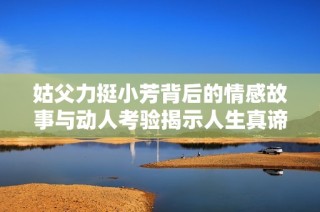姑父力挺小芳背后的情感故事与动人考验揭示人生真谛