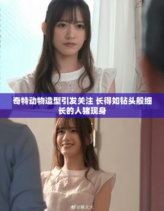 奇特动物造型引发关注 长得如钻头般细长的人猪现身