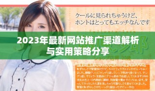 2023年最新网站推广渠道解析与实用策略分享