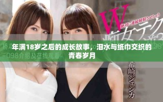 年满18岁之后的成长故事，泪水与纸巾交织的青春岁月