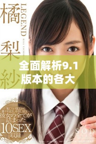 全面解析9.1版本的各大网站平台提升策略与优化方法