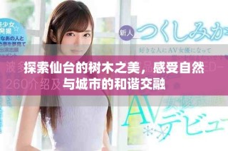 探索仙台的树木之美，感受自然与城市的和谐交融