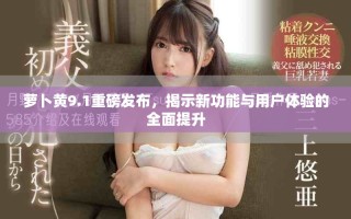 萝卜黄9.1重磅发布，揭示新功能与用户体验的全面提升