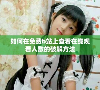如何在免费b站上查看在线观看人数的破解方法