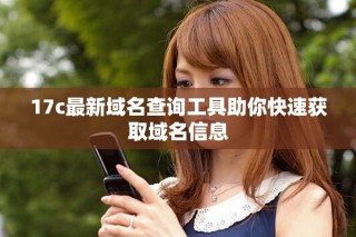 17c最新域名查询工具助你快速获取域名信息