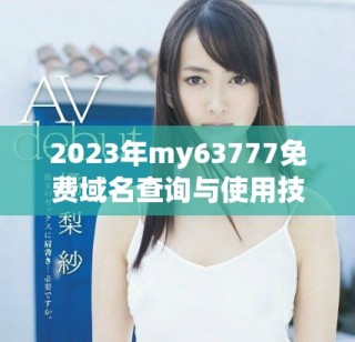 2023年my63777免费域名查询与使用技巧分享
