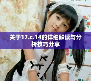 关于17.c.14的详细解读与分析技巧分享
